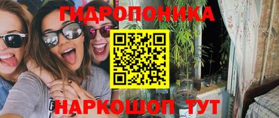 трава Гусь-Хрустальный