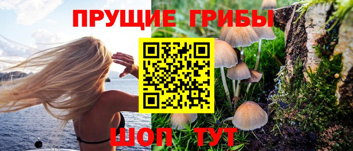 Галлюциногенные грибы прущие грибы  Псилоцибиновые грибы прущие грибы  закладка  Выборг  Вход с VPN 