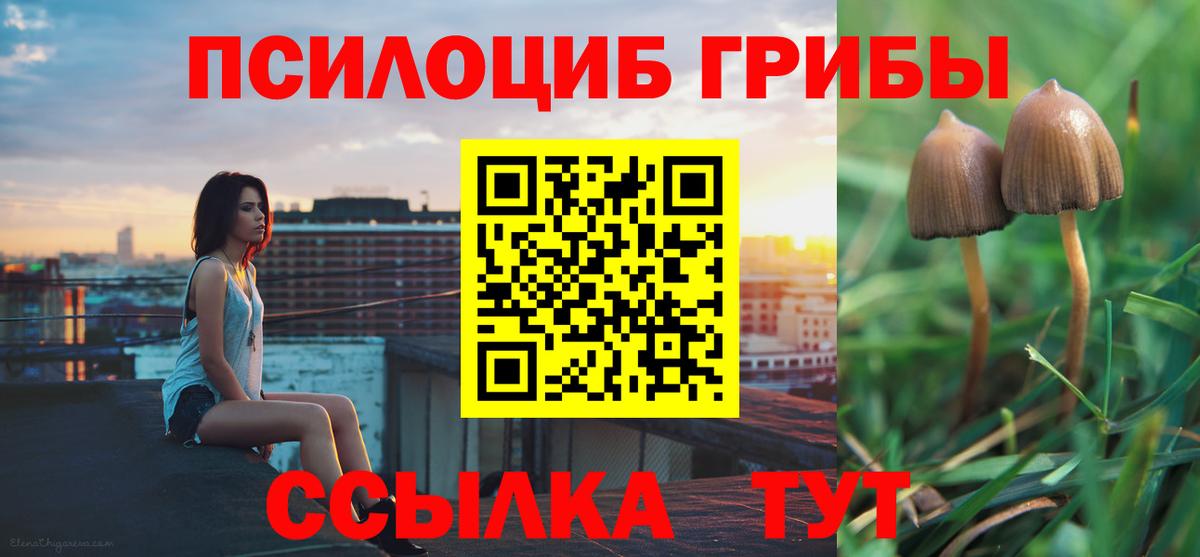Псилоцибиновые грибы GOLDEN TEACHER Выборг