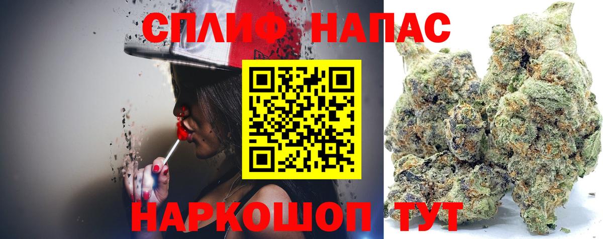 Бошки марихуана тримм  Канабис Amnesia  Канабис планчик  Вход с VPN  Выборг 